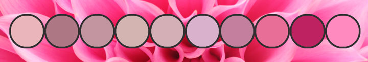 pinks.banner.720.22k.jpg