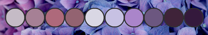 purples1.banner.720.23k.jpg